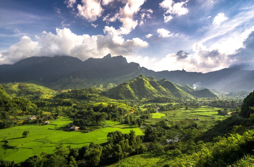 pexels q hưng phạm