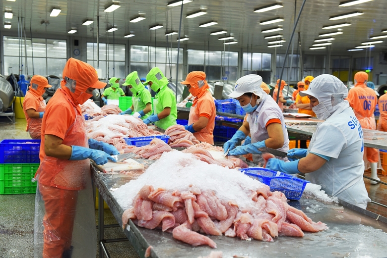pangasius Vietnamese seafood