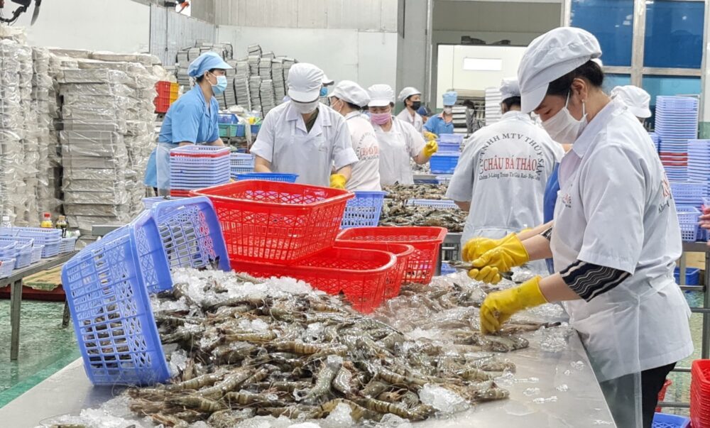 Vietnam s Steady GDP Growth and Key Sector Contributions