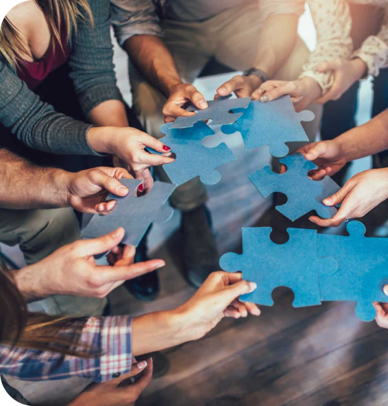 Viettonkin Consulting Team - Professional ASEAN Market Entry Experts