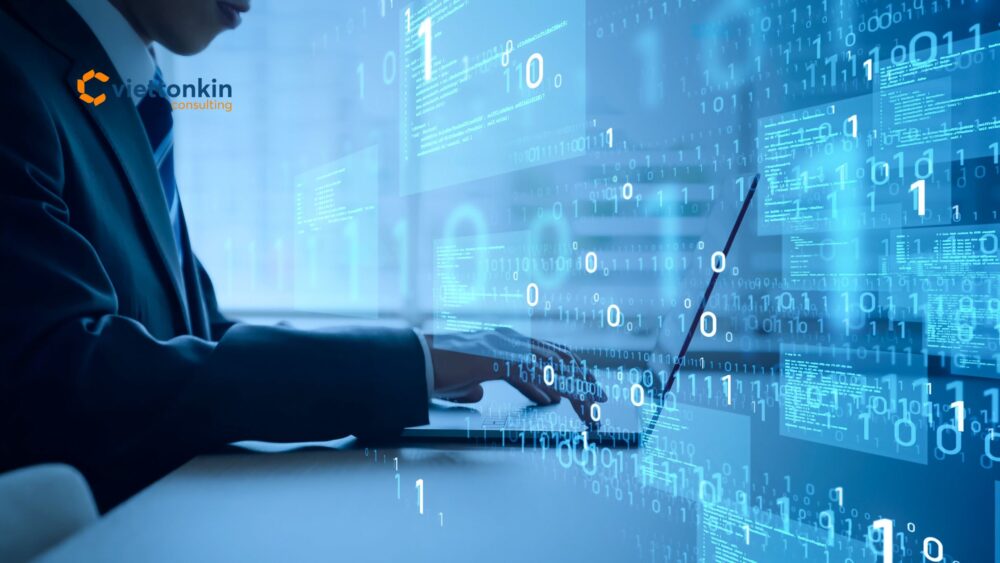 software outsourcing company in vietnam
